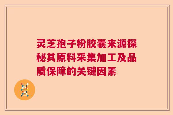 灵芝孢子粉胶囊来源探秘其原料采集加工及品质保障的关键因素