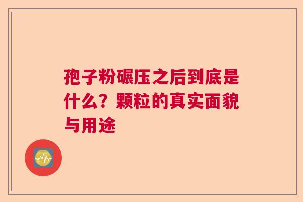 孢子粉碾压之后到底是什么？颗粒的真实面貌与用途