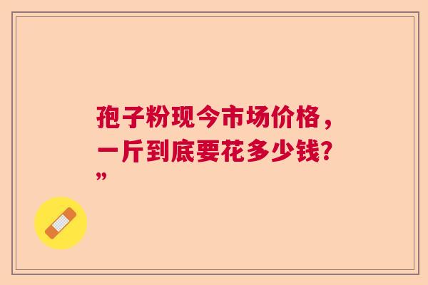 孢子粉现今市场价格，一斤到底要花多少钱？”
