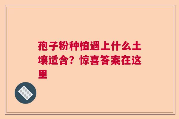 孢子粉种植遇上什么土壤适合？惊喜答案在这里