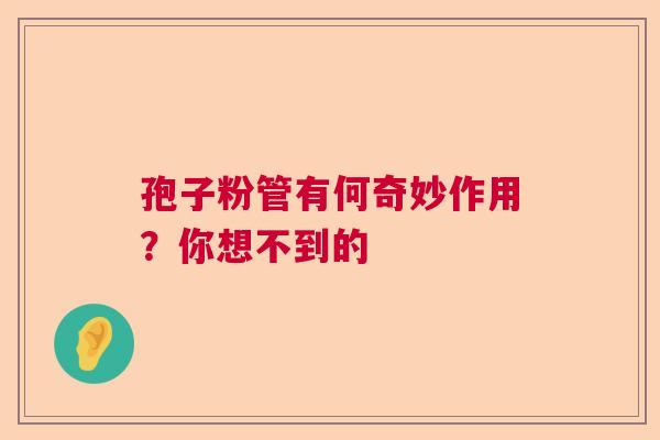 孢子粉管有何奇妙作用？你想不到的