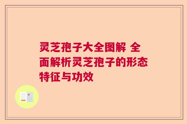 灵芝孢子大全图解 全面解析灵芝孢子的形态特征与功效