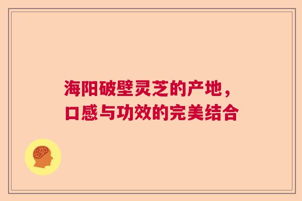 海阳破壁灵芝的产地，口感与功效的完美结合
