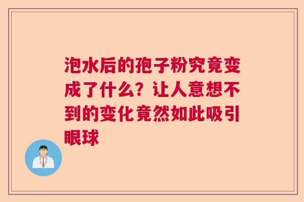 泡水后的孢子粉究竟变成了什么？让人意想不到的变化竟然如此吸引眼球