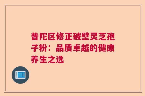 普陀区修正破壁灵芝孢子粉：品质卓越的健康养生之选