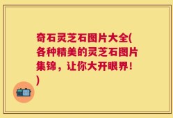 奇石灵芝石图片大全(各种精美的灵芝石图片集锦，让你大开眼界！)