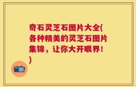奇石灵芝石图片大全(各种精美的灵芝石图片集锦，让你大开眼界！)