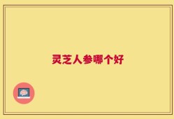 灵芝人参哪个好