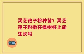灵芝孢子粉种苗？灵芝孢子粉撒在枫树桩上能生长吗