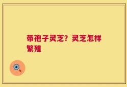 带孢子灵芝？灵芝怎样繁殖