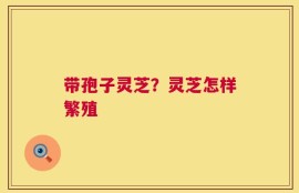 带孢子灵芝？灵芝怎样繁殖