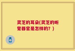 灵芝的耳朵(灵芝的听觉器官是怎样的？)