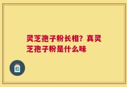 灵芝孢子粉长相？真灵芝孢子粉是什么味