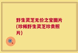野生灵芝无价之宝图片(珍稀野生灵芝珍贵照片)