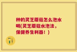 种的灵芝蘑菇怎么泡水喝(灵芝蘑菇水泡法，保健养生利器！)