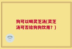 狗可以喝灵芝汤(灵芝汤可否给狗狗饮用？)