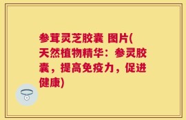 参茸灵芝胶囊 图片(天然植物精华：参灵胶囊，提高免疫力，促进健康)