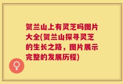 贺兰山上有灵芝吗图片大全(贺兰山探寻灵芝的生长之路，图片展示完整的发展历程)