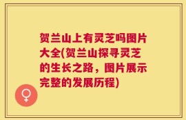 贺兰山上有灵芝吗图片大全(贺兰山探寻灵芝的生长之路，图片展示完整的发展历程)