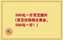 500元一斤灵芝图片(灵芝价格堪比黄金，500元一斤！)