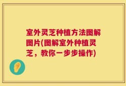 室外灵芝种植方法图解图片(图解室外种植灵芝，教你一步步操作)