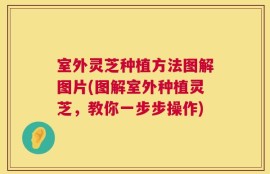 室外灵芝种植方法图解图片(图解室外种植灵芝，教你一步步操作)