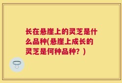 长在悬崖上的灵芝是什么品种(悬崖上成长的灵芝是何种品种？)
