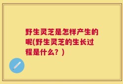 野生灵芝是怎样产生的呢(野生灵芝的生长过程是什么？)