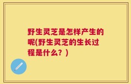 野生灵芝是怎样产生的呢(野生灵芝的生长过程是什么？)