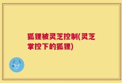 狐狸被灵芝控制(灵芝掌控下的狐狸)