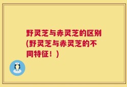 野灵芝与赤灵芝的区别(野灵芝与赤灵芝的不同特征！)