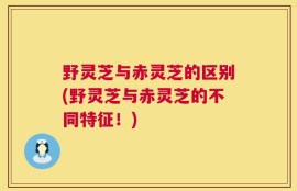 野灵芝与赤灵芝的区别(野灵芝与赤灵芝的不同特征！)