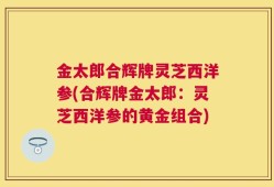 金太郎合辉牌灵芝西洋参(合辉牌金太郎：灵芝西洋参的黄金组合)