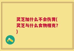 灵芝加什么不会伤胃(灵芝与什么食物相克？)