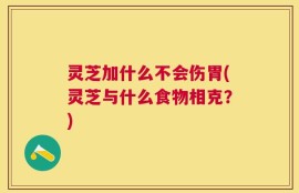 灵芝加什么不会伤胃(灵芝与什么食物相克？)