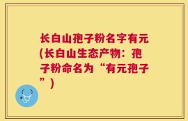 长白山孢子粉名字有元(长白山生态产物：孢子粉命名为“有元孢子”)