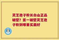 灵芝孢子粉长白山正品破壁？紫一破壁灵芝孢子粉到哪里买最好