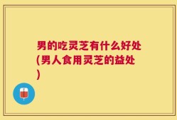 男的吃灵芝有什么好处(男人食用灵芝的益处)