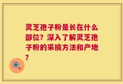 灵芝孢子粉是长在什么部位？深入了解灵芝孢子粉的采摘方法和产地？