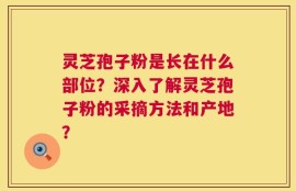 灵芝孢子粉是长在什么部位？深入了解灵芝孢子粉的采摘方法和产地？