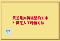 灵芝是如何破壁的工序？灵芝人工种植方法