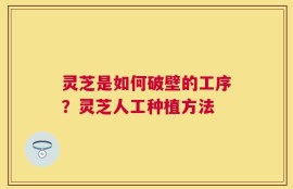 灵芝是如何破壁的工序？灵芝人工种植方法