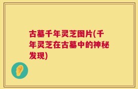 古墓千年灵芝图片(千年灵芝在古墓中的神秘发现)