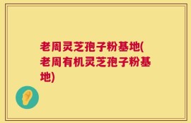 老周灵芝孢子粉基地(老周有机灵芝孢子粉基地)