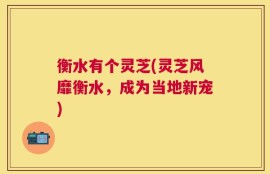 衡水有个灵芝(灵芝风靡衡水，成为当地新宠)