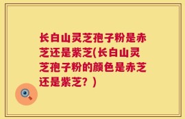 长白山灵芝孢子粉是赤芝还是紫芝(长白山灵芝孢子粉的颜色是赤芝还是紫芝？)