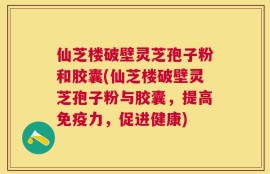 仙芝楼破壁灵芝孢子粉和胶囊(仙芝楼破壁灵芝孢子粉与胶囊，提高免疫力，促进健康)