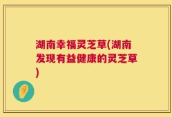 湖南幸福灵芝草(湖南发现有益健康的灵芝草)