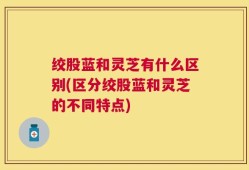 绞股蓝和灵芝有什么区别(区分绞股蓝和灵芝的不同特点)