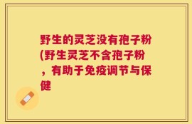 野生的灵芝没有孢子粉(野生灵芝不含孢子粉，有助于免疫调节与保健